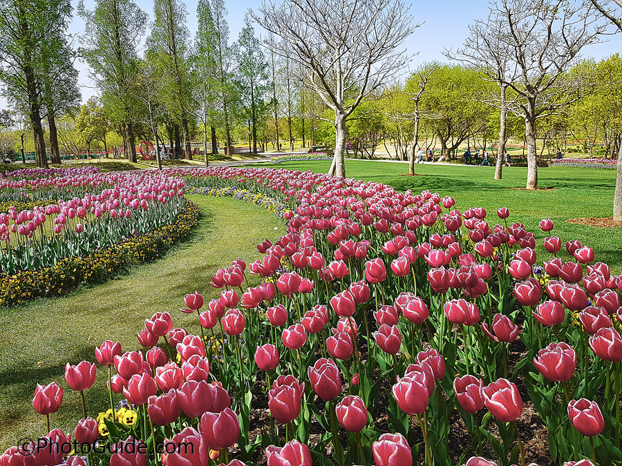 순천만국제정원박람회