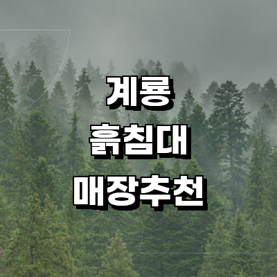 계룡시 흙침대
