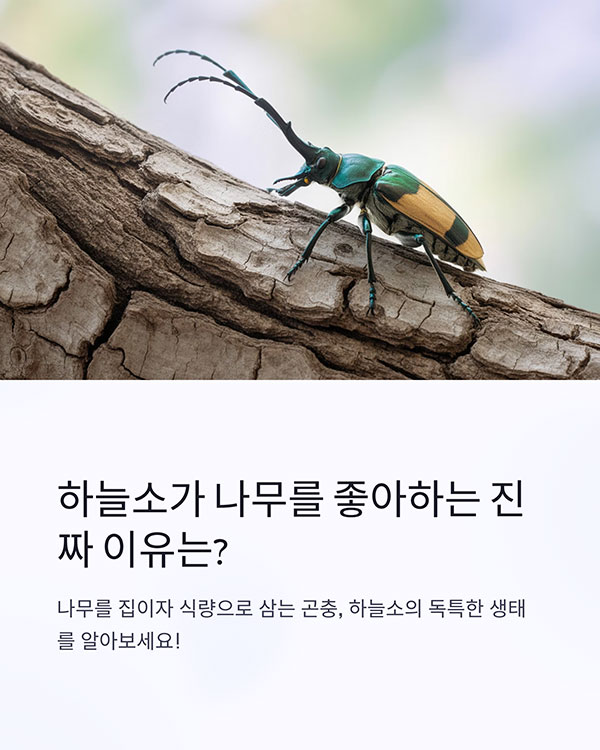하늘소가 나무를 좋아하는 진짜 이유는?