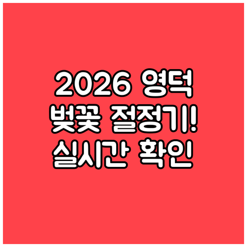 2026 영덕군 벚꽃 개화 시기와 실..