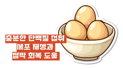 구내염 빨리 낫는법