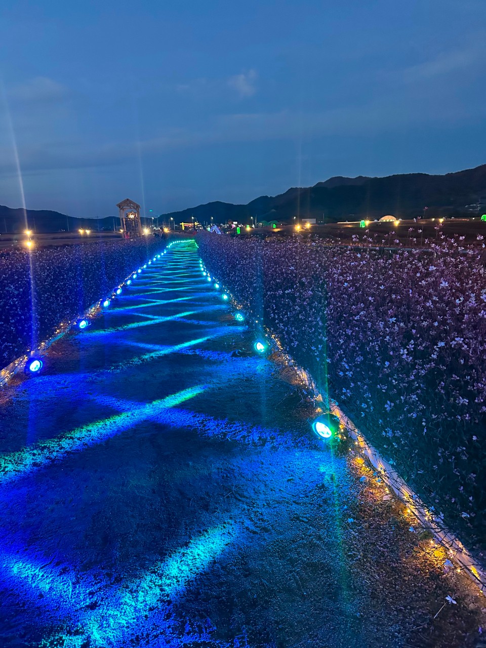 철원 고석정 꽃축제