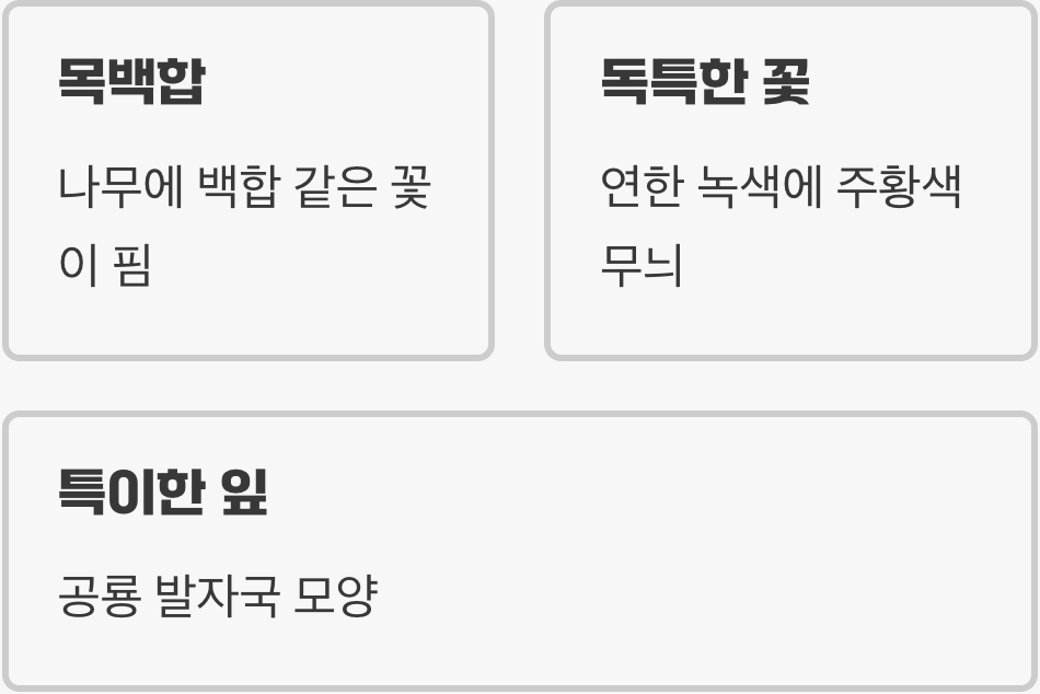 나무 위에 피어난 한 송이 튤립&amp;#44; 그 매력 속으로