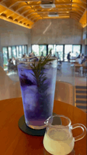 왕송호수-카페-커피트레인-시그니처-오로라-레몬차