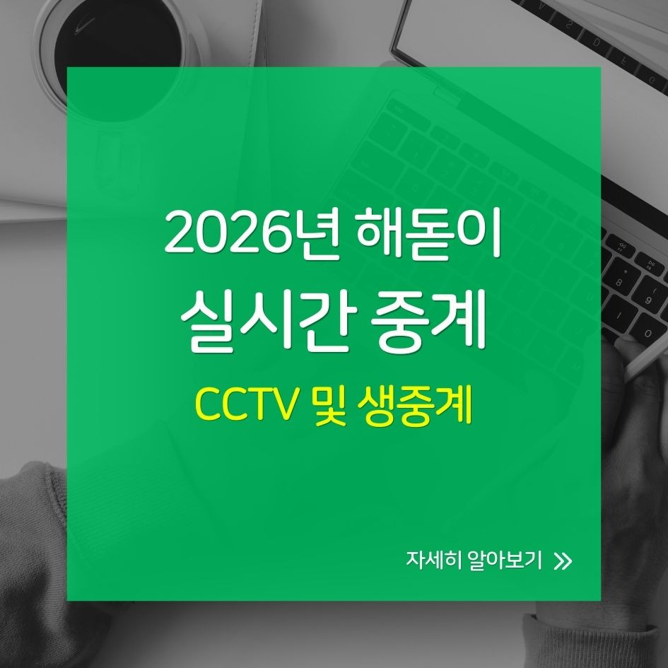 실시간으로 감상하는 2026 새해 해돋이 CCTV 및 생중계