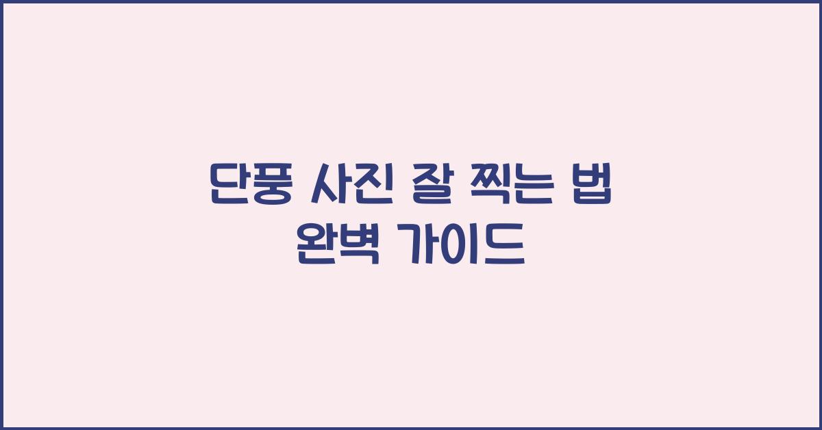 단풍 사진 잘 찍는 법