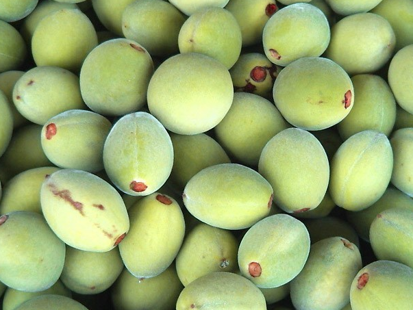 개복숭아, 야생의 매력: 복숭아와는 다른 그 특별한 이야기