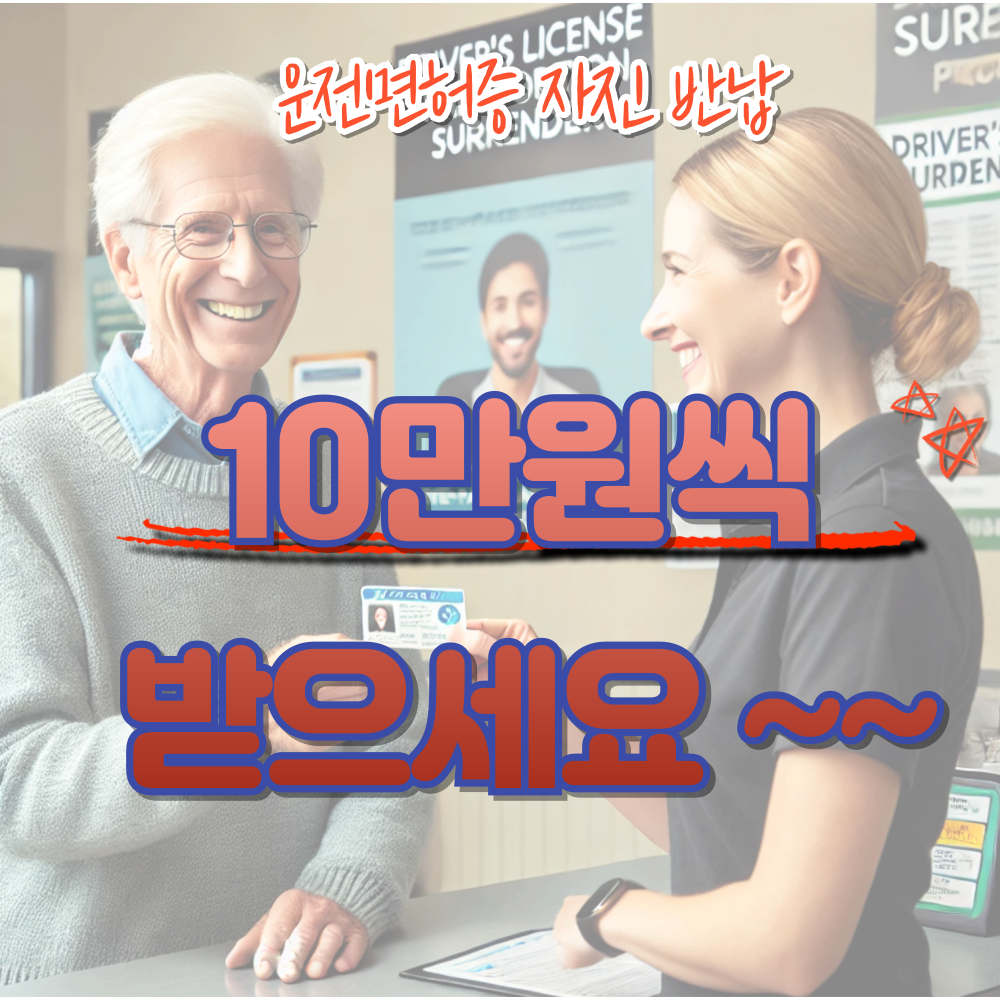 운전면허증자진반납