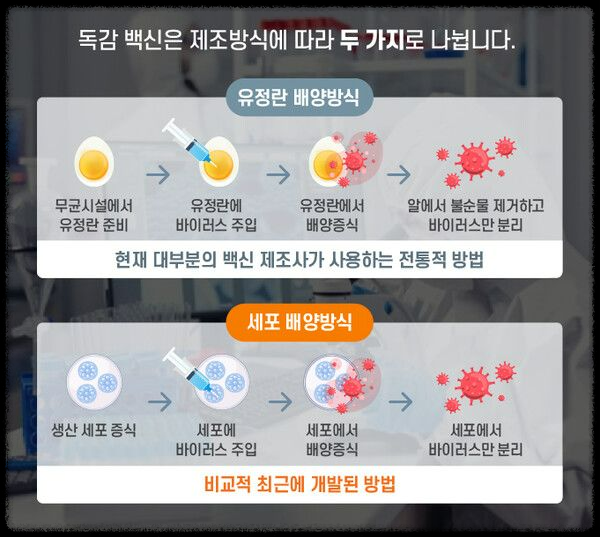 감기와 독감 정확한 구분법: 증상&amp;#44; 원인&amp;#44; 치료까지 확실히 이해하기