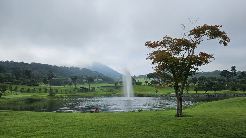 골프장 경험담 남원 골프존카운티 드래곤CC 지리산 품은 명문 골프장, 자연 속 힐링 라운드의 완성