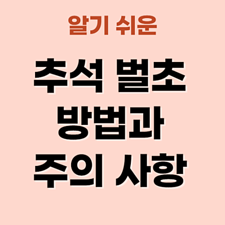 추석 벌초 방법과 주의 사항 안내