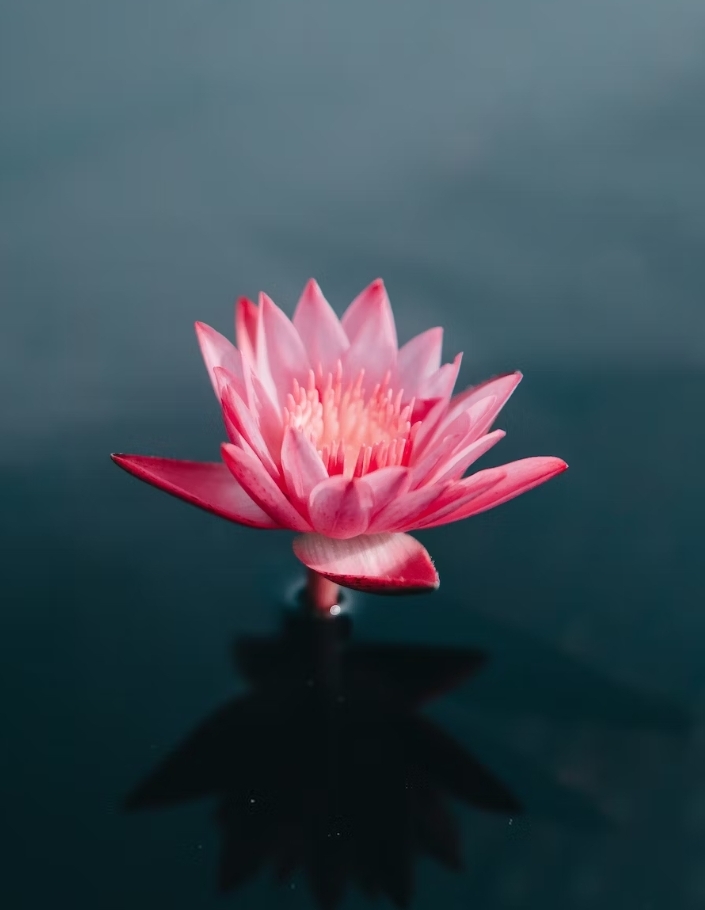 명상하는법9