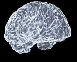 수면 부족이 우리 몸에 미치는 영향 경고 증상 치매