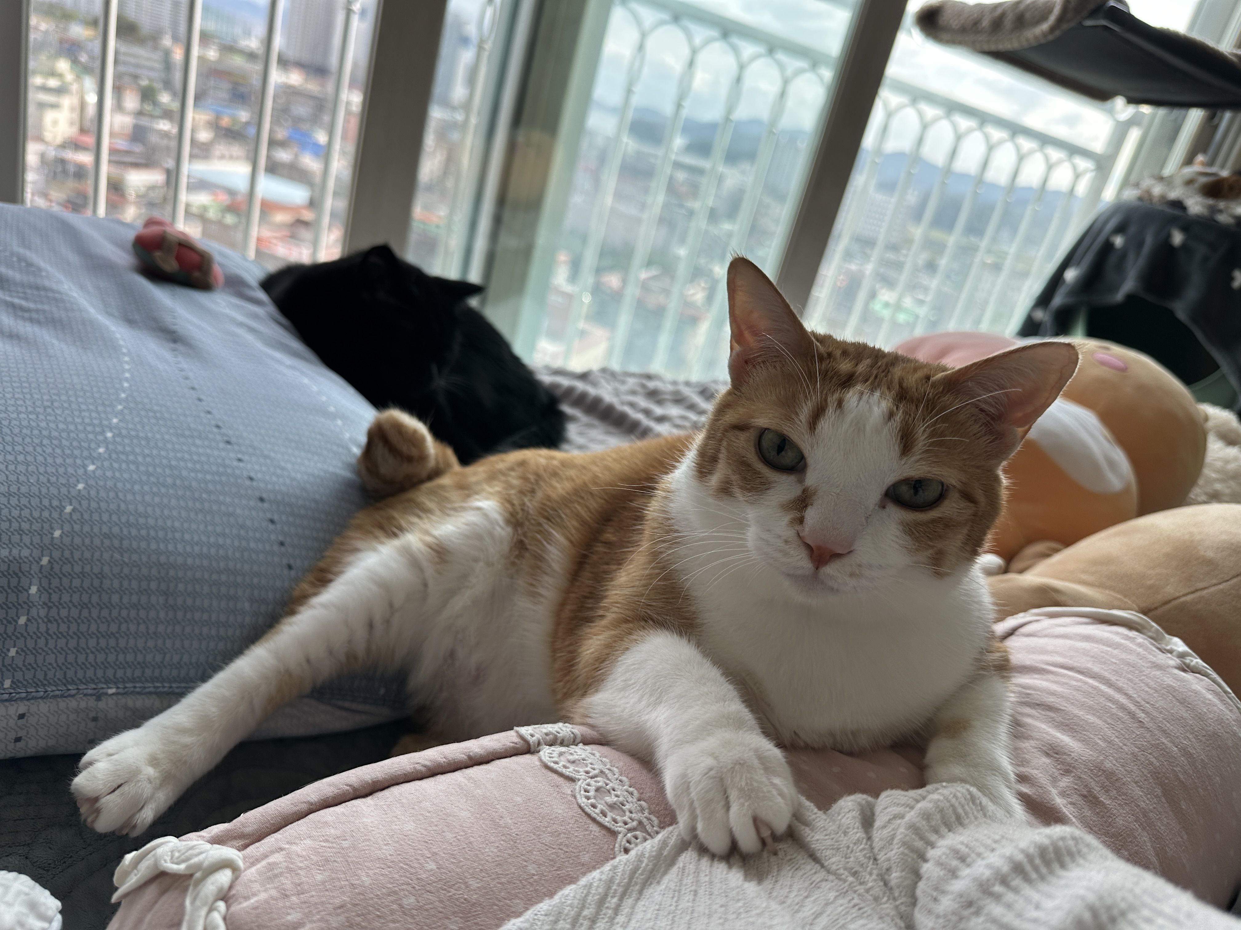 베개에_기대서_엄마랑_아이컨택중