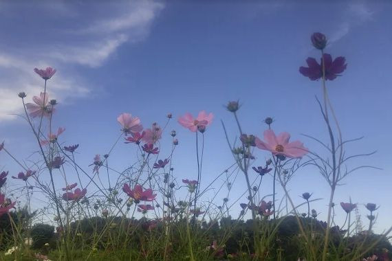 농업회사법인 에덴양봉원 
