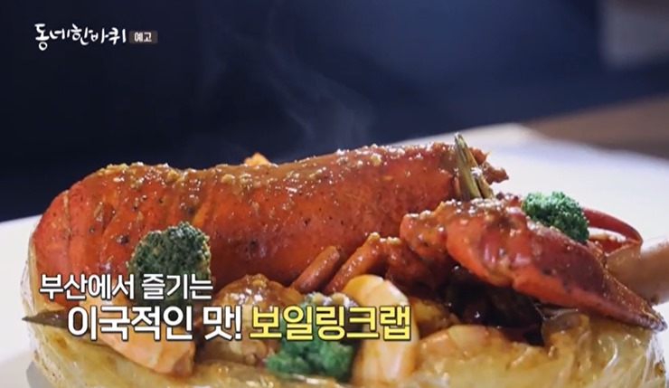 해운대-보일링크랩