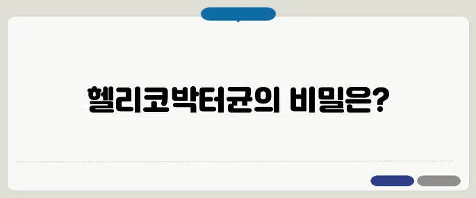 헬리코박터균 후기 모르면 손해