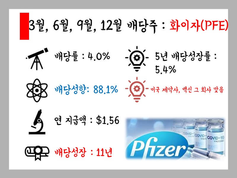 화이자 배당