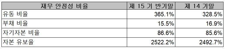 와이솔 - 재무 안정성 비율