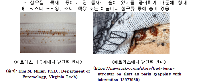 빈대 퇴치 및 물리면? 특별히 빈대들이 좋아하는 공간이 있어요~~ 빈대가 좋아하는 것과 싫어하는 것을 미리 알아서 빈대 퇴치에 집중하자고요! 또한 빈대는 사람한테 어떤 병을 옮길까요? 당황하지말고 천천히 확인해보세요!