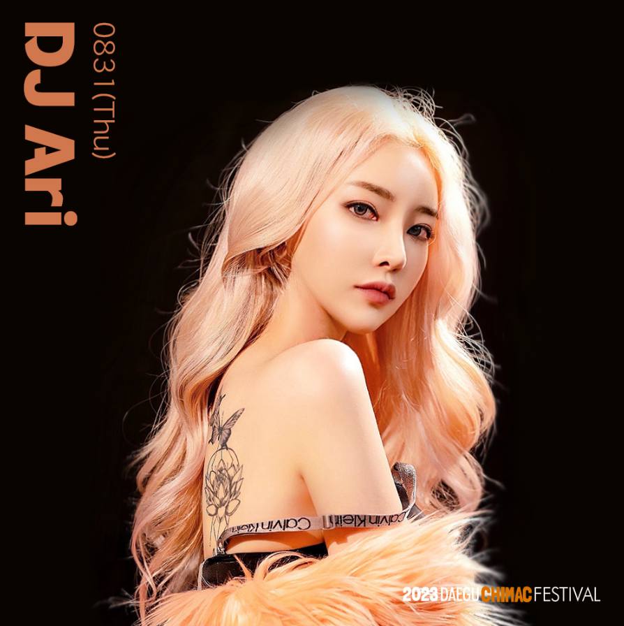 치맥페스티벌 기본정보