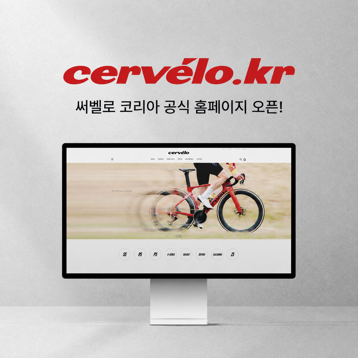써벨로 코리아