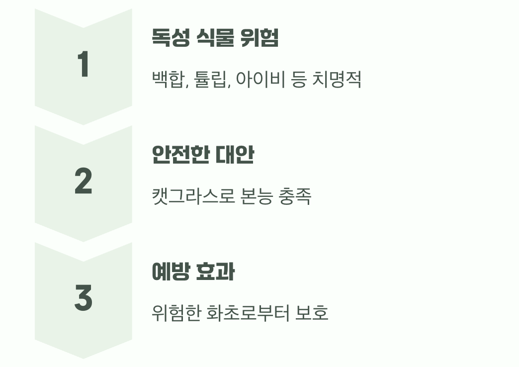 다섯째, 위험한 식물로부터 고양이를 지키는 법