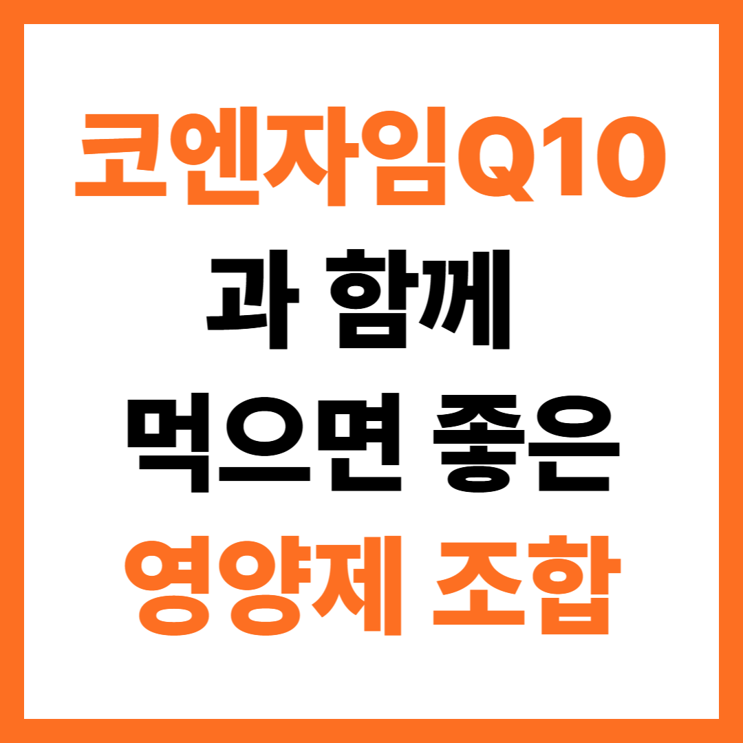 코엔자임Q10과 함께 먹으면 좋은 영양제 조합 알아보기!