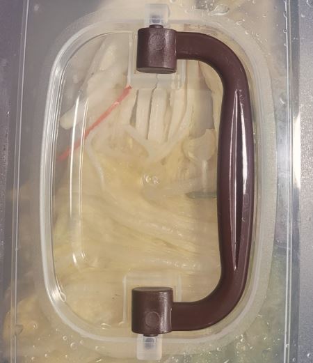 백김치