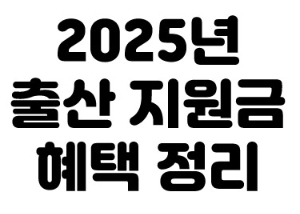 2025년 출산지원금