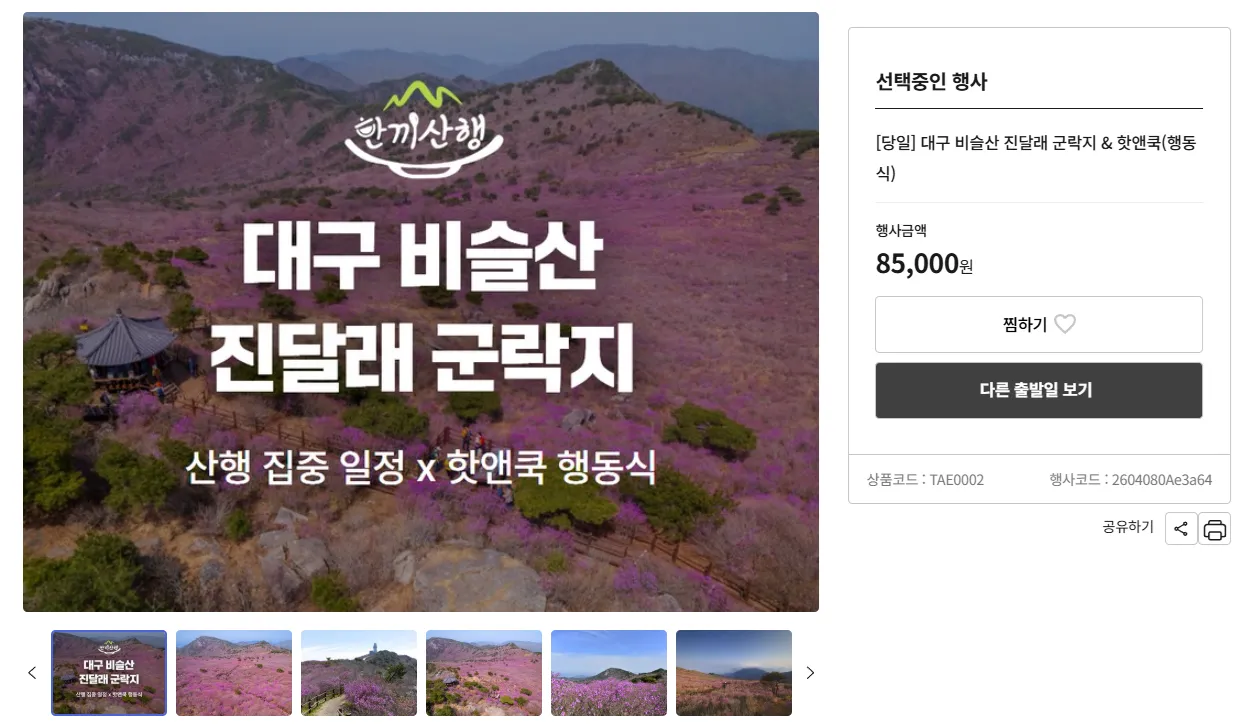 대구 달성 비슬산 승우여행사 버스 투어