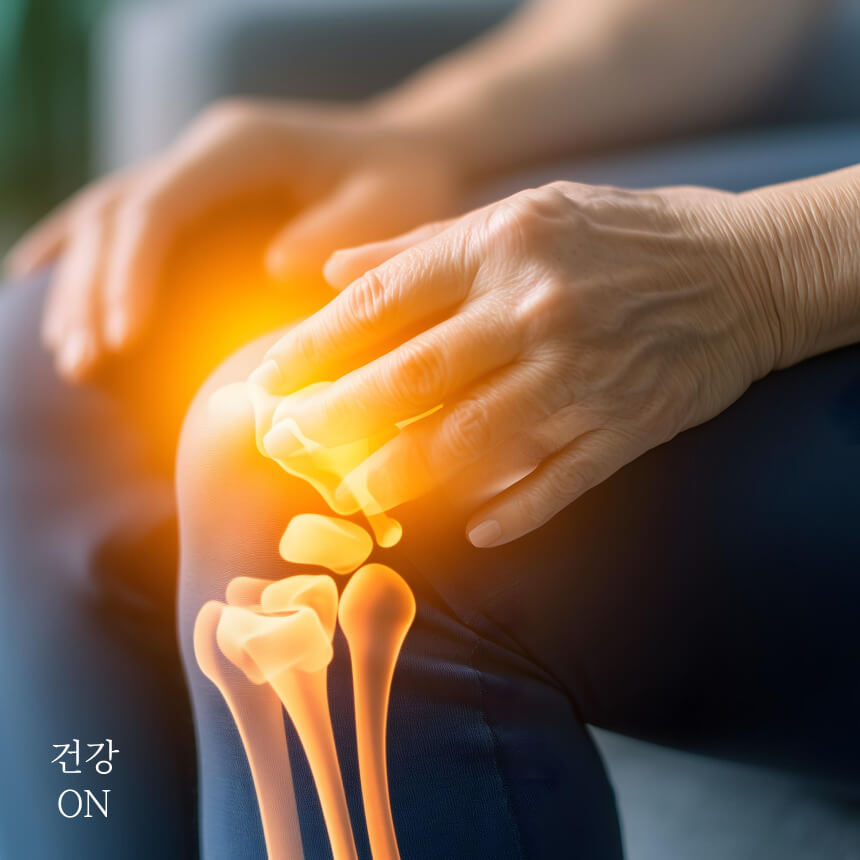 근골겨계 특수 시술 용어