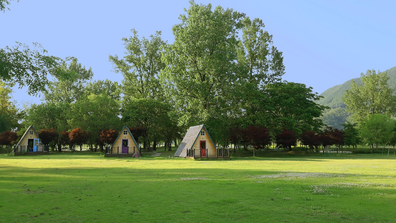가족여행 최적지 경기도 가평 자라섬 오토캠핑장 이미지