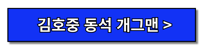 음주운전벌금 기준 조회 분할납부 사면(+김호중)