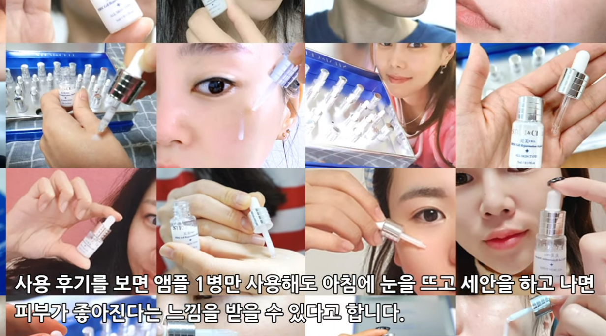 스템앤셀 후기