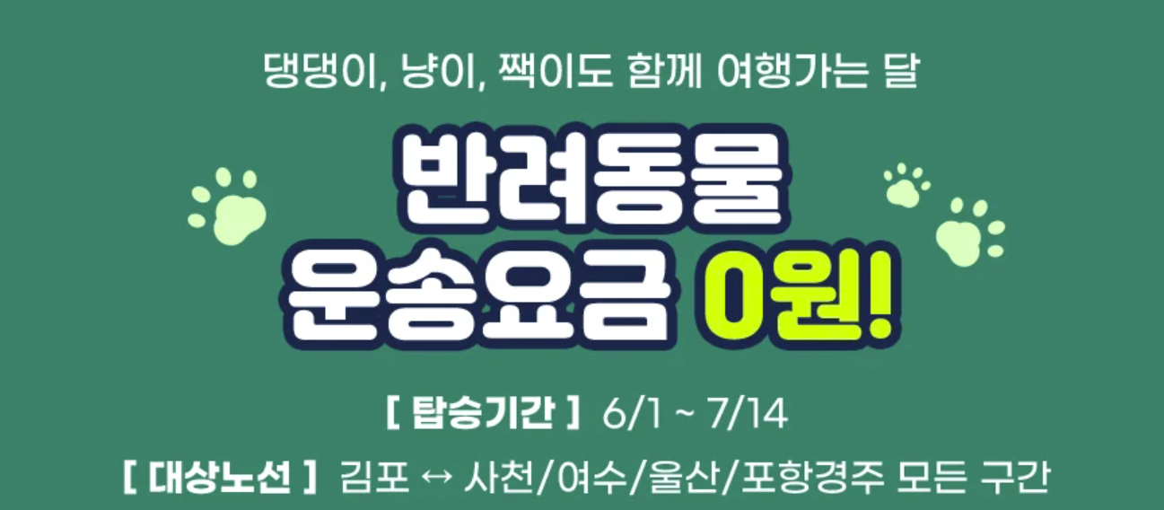 6월 여행가는 달 교통 할인 혜택