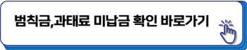 과속 단속 실시간 조회