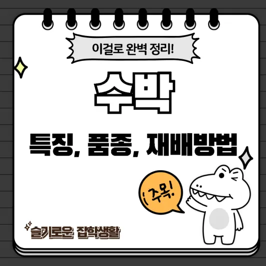 수박 재배방법