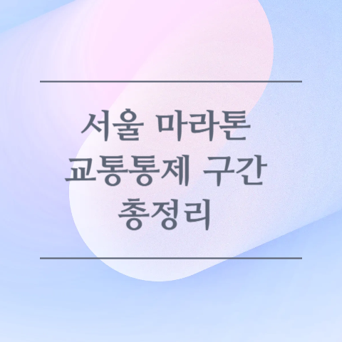 서울 마라톤 교통통제 구간 총정리 이미지