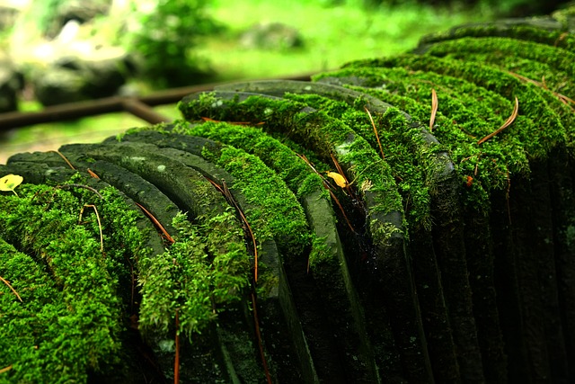 바이오 어반 프로젝트 소개