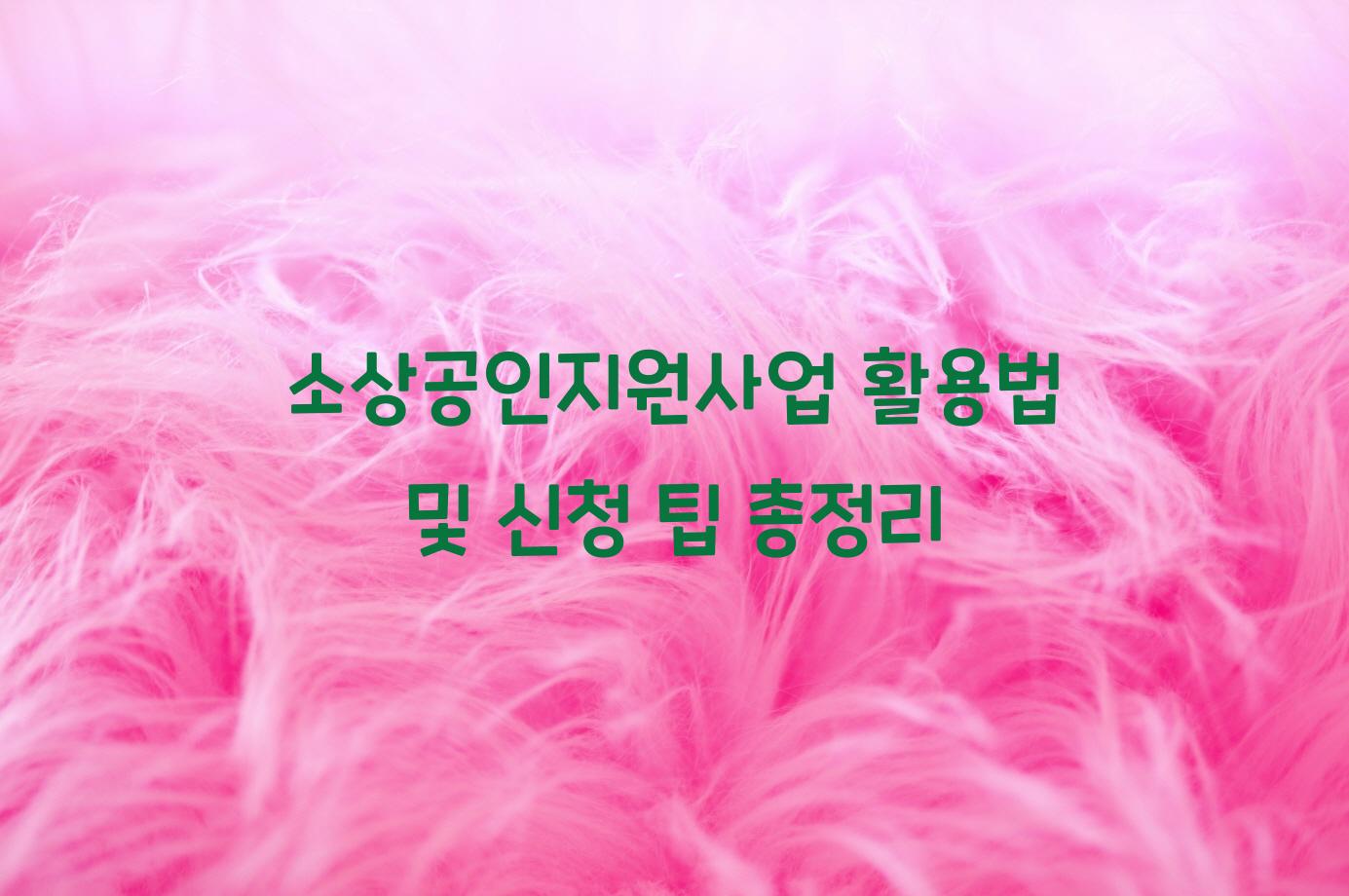 소상공인지원사업