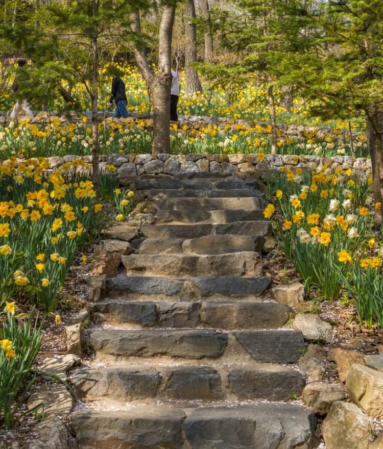 화담숲 예약 모노레일 단풍 절정 후기 총정리