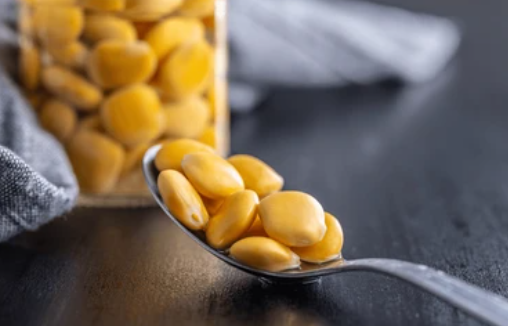 루핀콩 효능과 루핀콩 먹는법