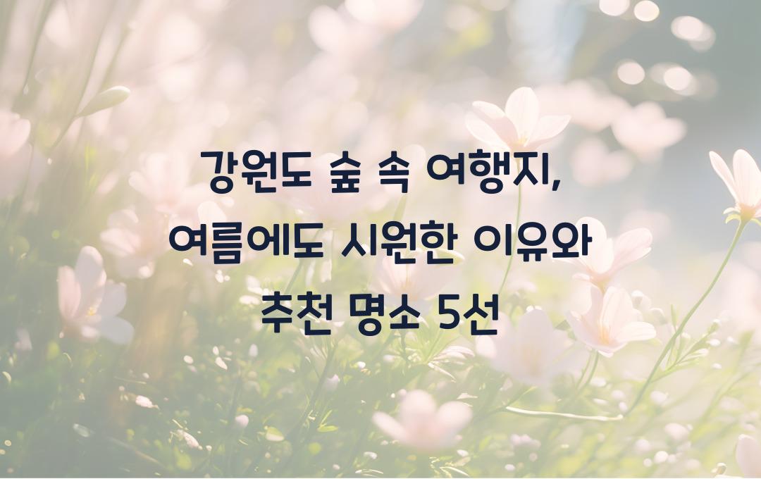 강원도 숲 속 여행지, 여름에도 시원한 이유