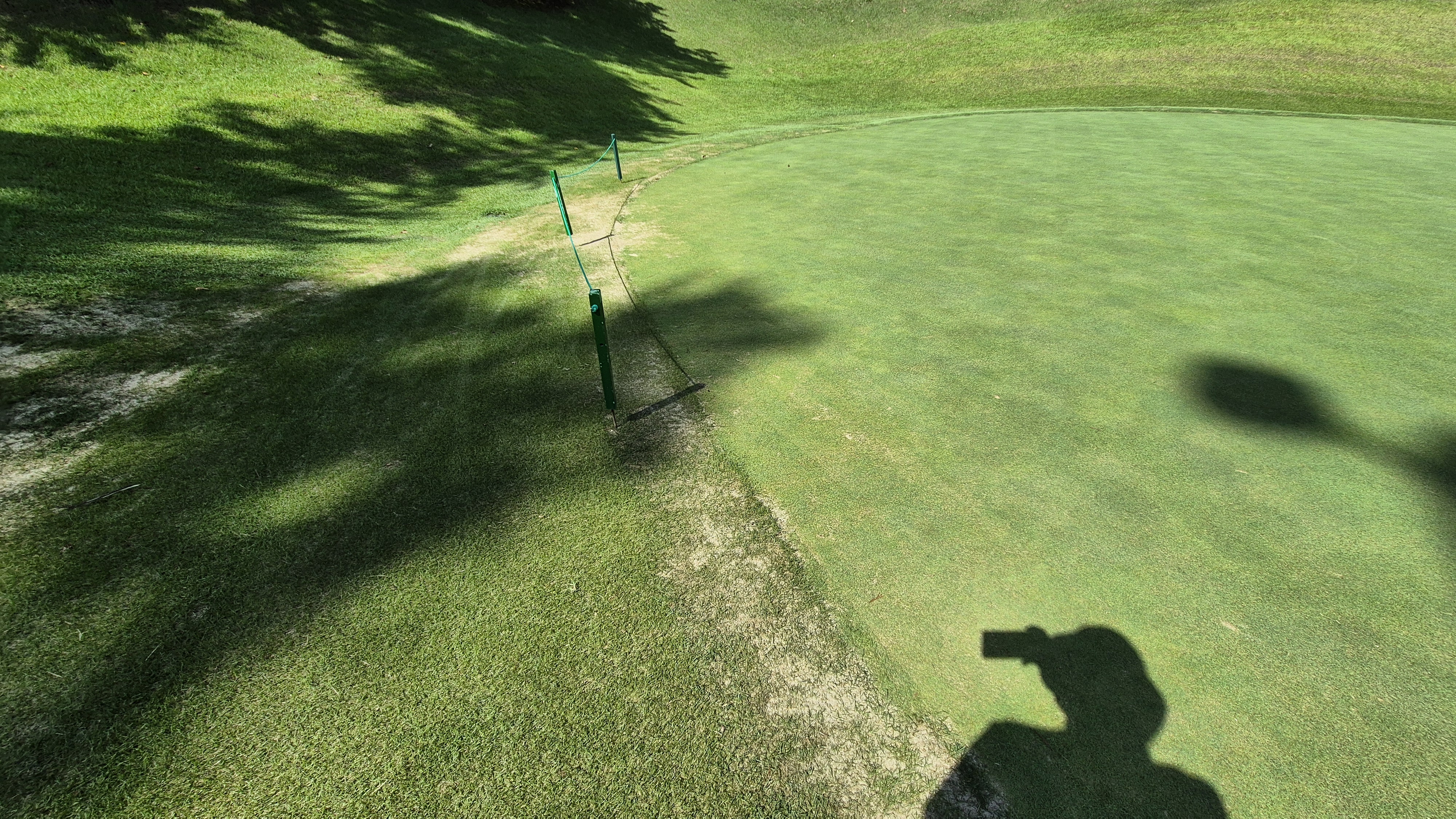 대영힐스cc 청-력 코스 라운드 후기