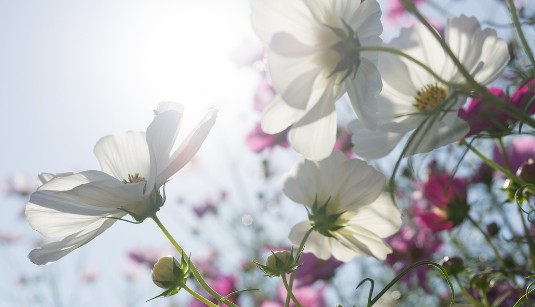 가을에 듣기 좋은 노래 - "시" 가사