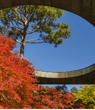 νλ΄μ² μμ½νκΈ°