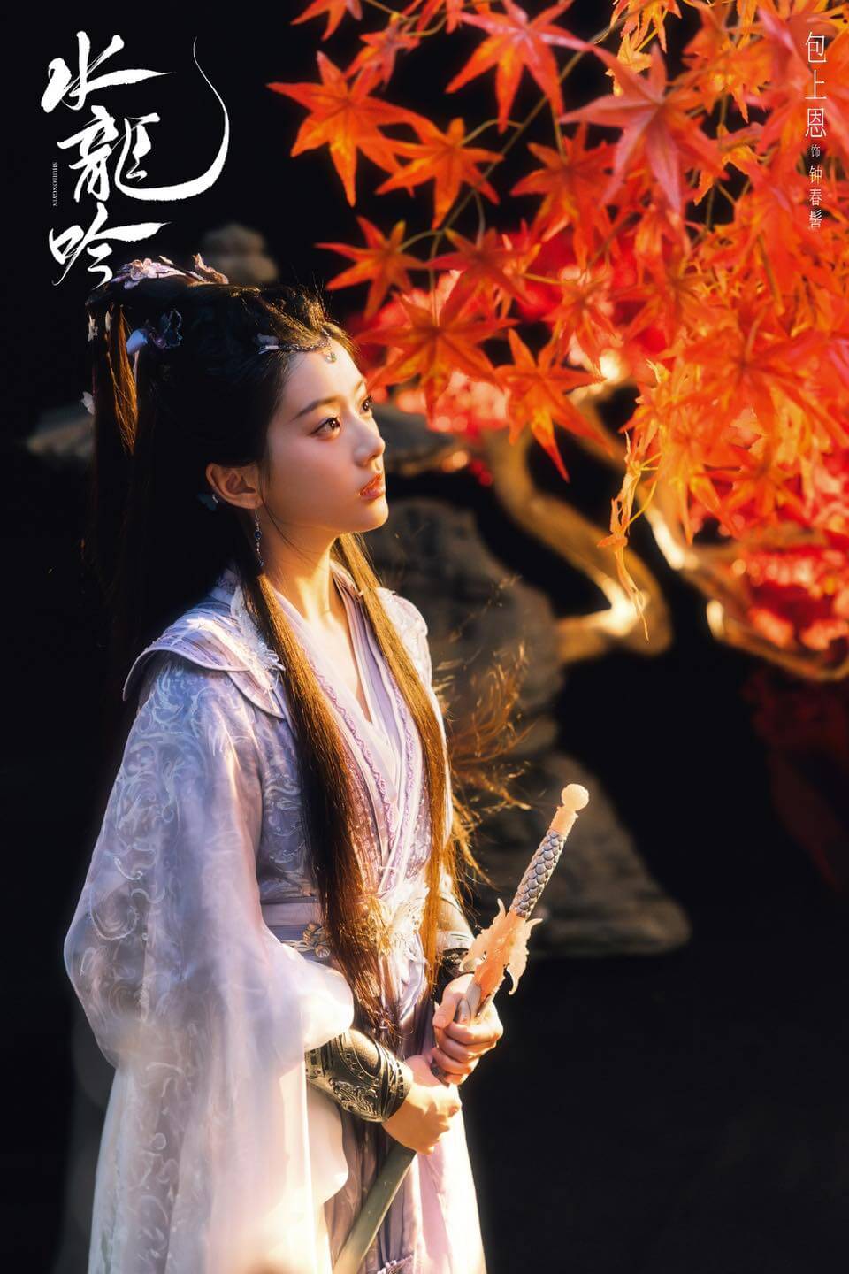 중드 수룡음(水龙吟)