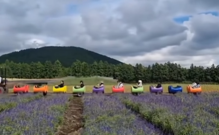 보롬왓 튤립축제