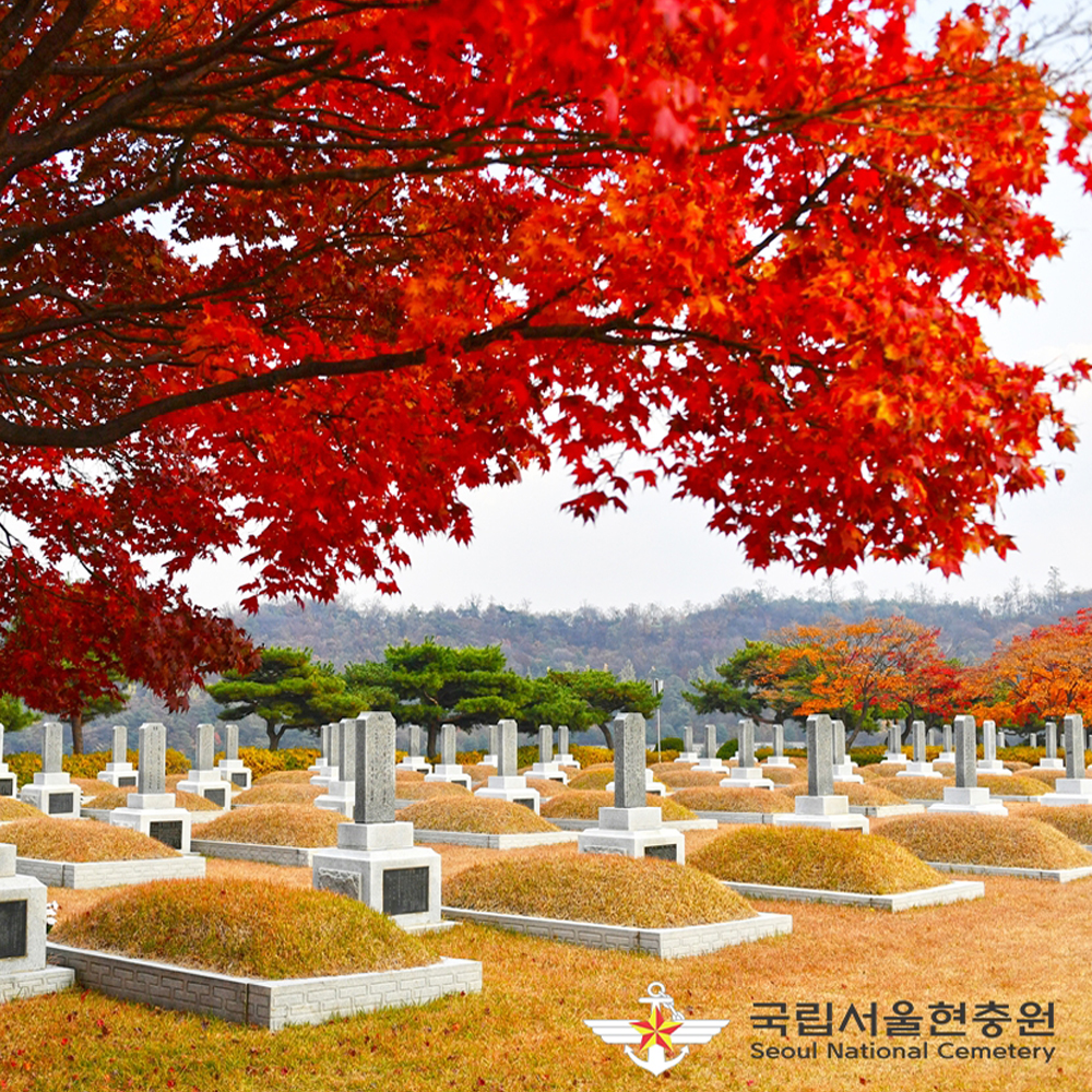 국립서울현충원